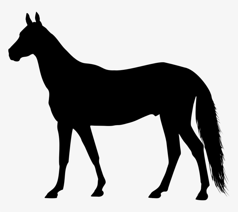 Medium Image - Clip Art Horse Silhouette, transparent png download