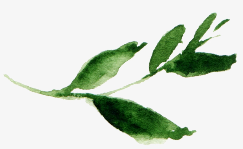 Alpendre Familyfall Session - Photography, transparent png download