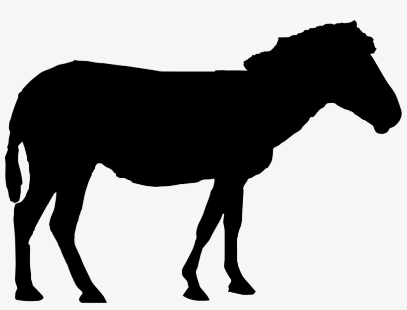 Horse Silhouette - - Horse Standing Silhouette, transparent png download