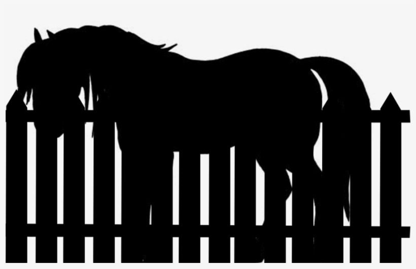 Horse And Fence Silhouette By Viktoria-lyn On Deviantart - Horse And Fence Silhouette, transparent png download