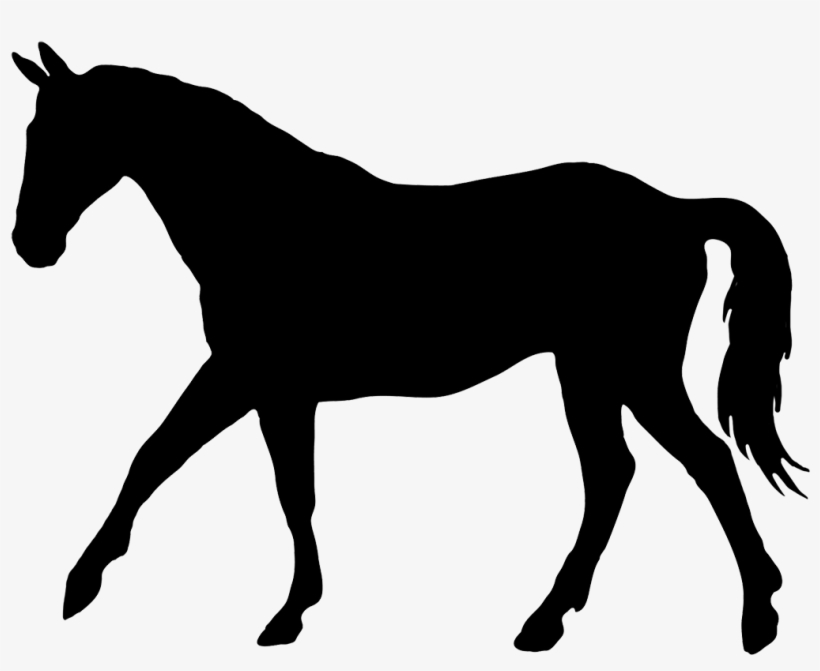 1000 Ideas About Horse Silhouette On Pinterest - Horse Clipart Transparent Background, transparent png download