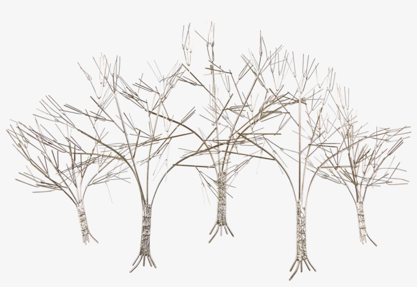 Collection Of Free Branches Drawing Modern Tree Download - C. Jeré, transparent png download