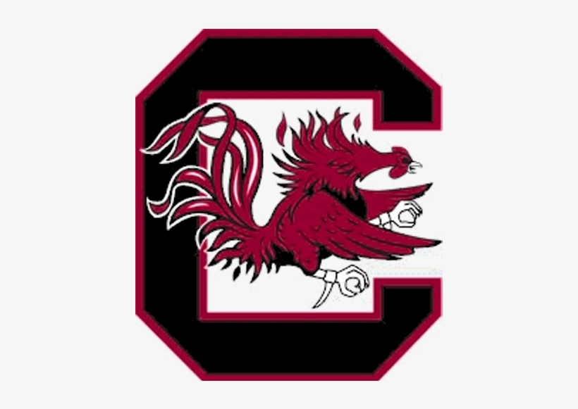 South Carolina's National Footb, Signing Day Recruits - South Carolina's Football Team, transparent png download