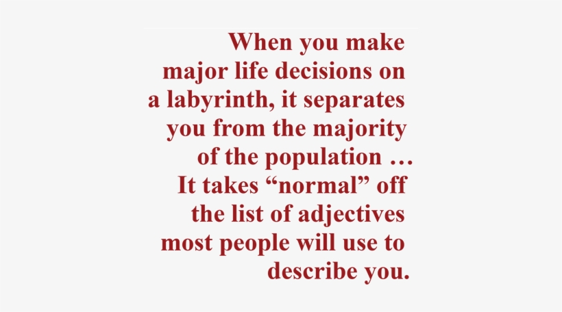 Despite What Others Were Saying, I Couldn't Turn My - Not Yet Assigned 8mm X 230mm Sds+ Wood Auger Bit, transparent png download