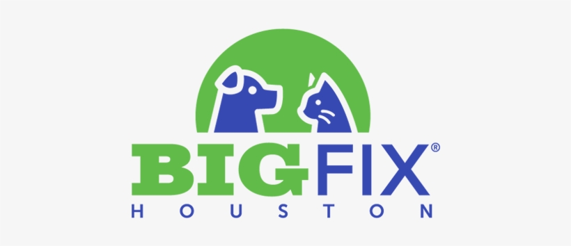 Unity For A Solution Is A Dba Of Barrio Dogs, Inc - Big Fix Houston, transparent png download