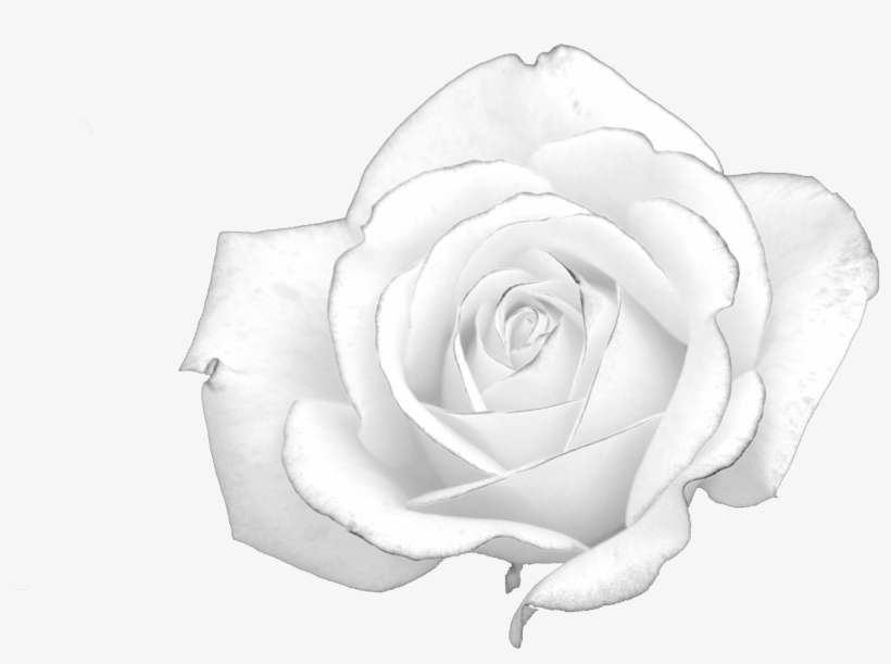 Sinatra Cd Carnegie Hall 1974, transparent png download