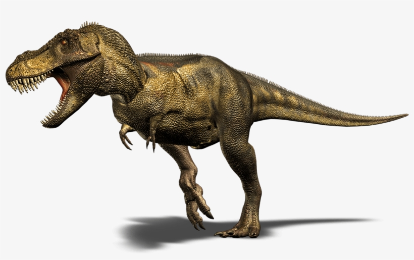 Photo Courtesy - Dinopedia - Wikia - Com - Tyrannosaurus Png, transparent png download