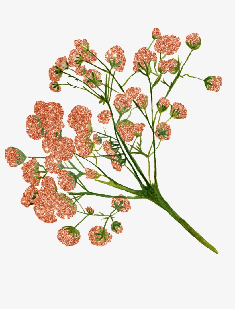 This Graphics Is Hand Painted Color Small Suihutransparent - Portable Network Graphics, transparent png download