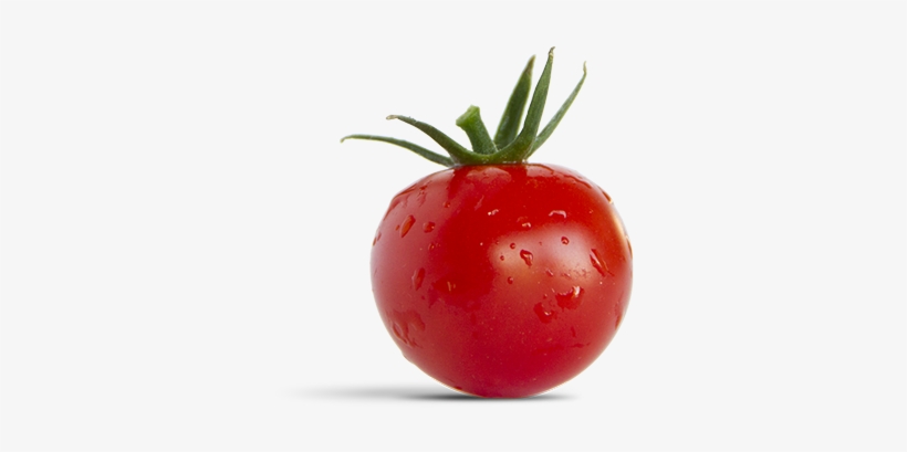 So Delicious And Tasty, The Piccolo Is Definitely From - Tomate Piccolo, transparent png download