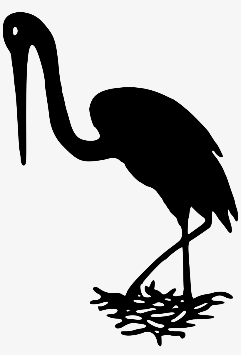 Ostrich Drawing 5 Bird - Clip Art, transparent png download