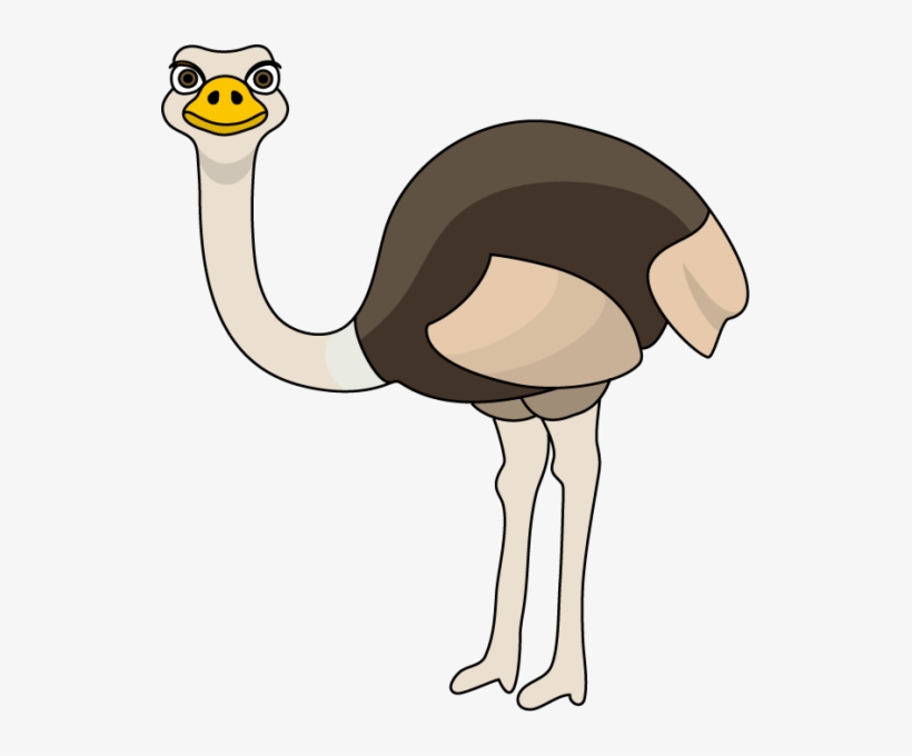 Ostrich Clipart At Getdrawings - Ostrich Clipart, transparent png download