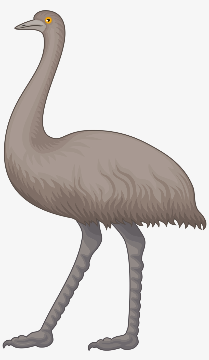 Big Image Png - Emu Clipart, transparent png download
