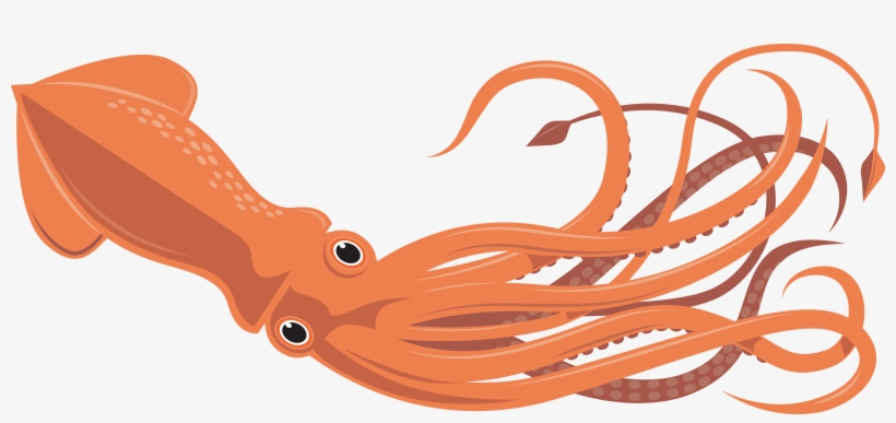 Clip Art Library Library Clipart Squid - Squid Clipart, transparent png download