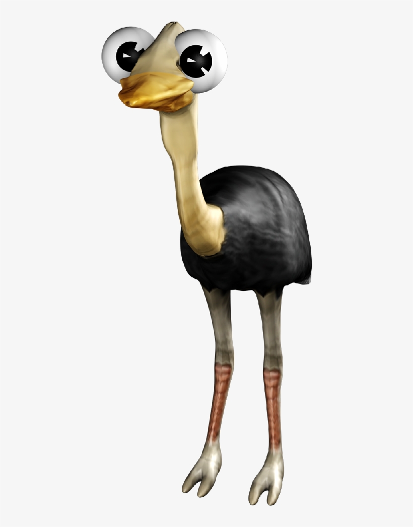 Ostrich - Website, transparent png download