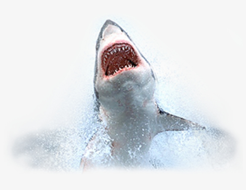 Click Gfaa Logos To Access Required Information On - Cisco 8821 Desk Top Charger, transparent png download