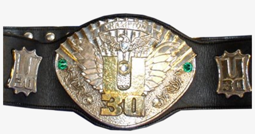 Iwgp U-30 Openweight Championship Belt - Iwgp U 30 Openweight Championship, transparent png download