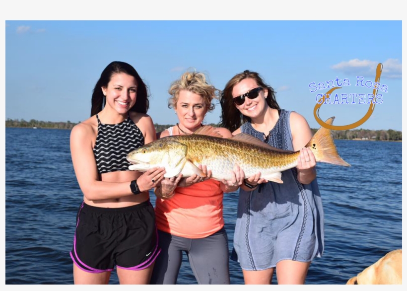 Fishing With Santa Rosa Charters - Pull Fish Out Of Water, transparent png download