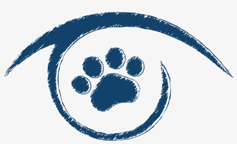 Animal Eye Clinic - Eye, transparent png download