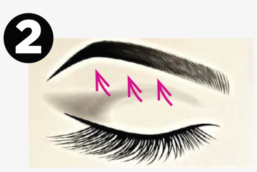 Eyebrow Clipart Fake - L'extraordinaire Lash & Brow Serum, transparent png download
