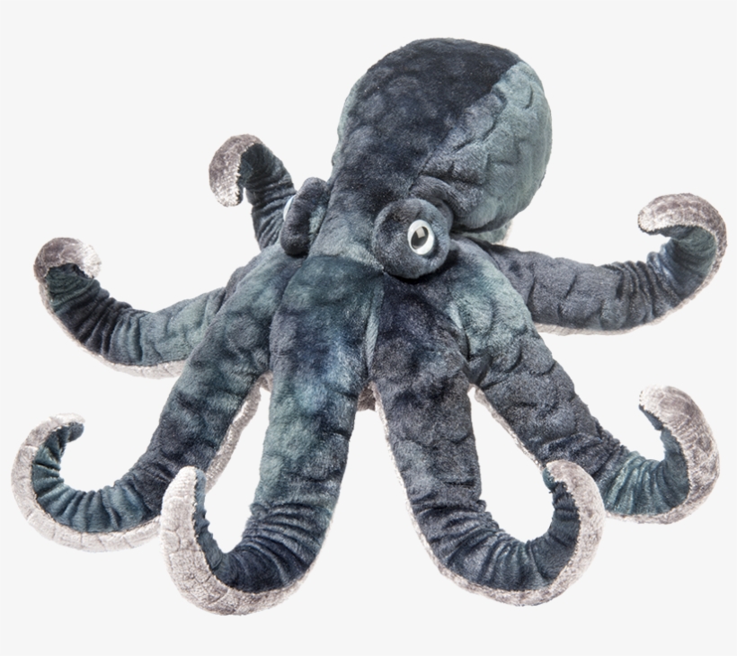 Douglas - Winky Octopus - Octopus Plush, transparent png download