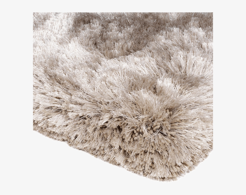 Plush Shaggy Rug Sand - Asiatic Plush Shaggy Rug, 160 X 230cm - Sand | Robert, transparent png download