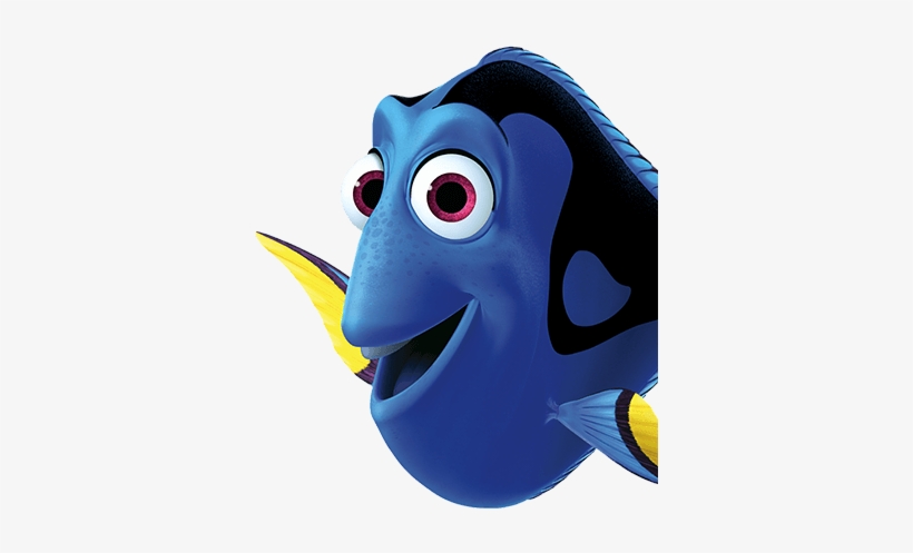 We Provide A Tarp For All Of Our Bouncer Deliveries - Dory Disneybound, transparent png download