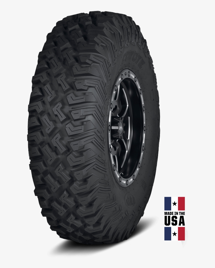 Coyote - Tire, transparent png download