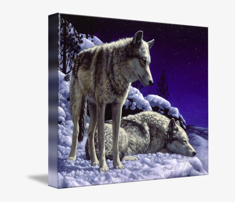 "night Watch" By Crista Forest - Crista Forest - Night Watch, transparent png download