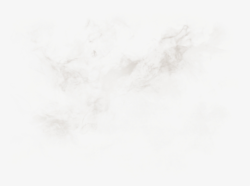 Orange2 Copyb - The Treasured Tree, transparent png download