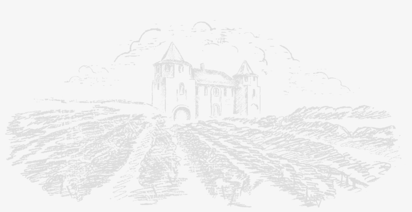 Vineyard-sketch - Sketch, transparent png download
