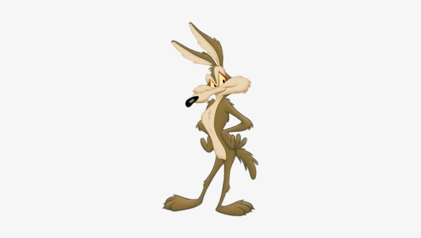 Wile E - Coyote - Road Runner, transparent png download