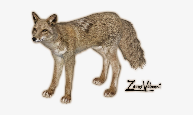 Zoo Tycoon 2 Coyote Png, transparent png download