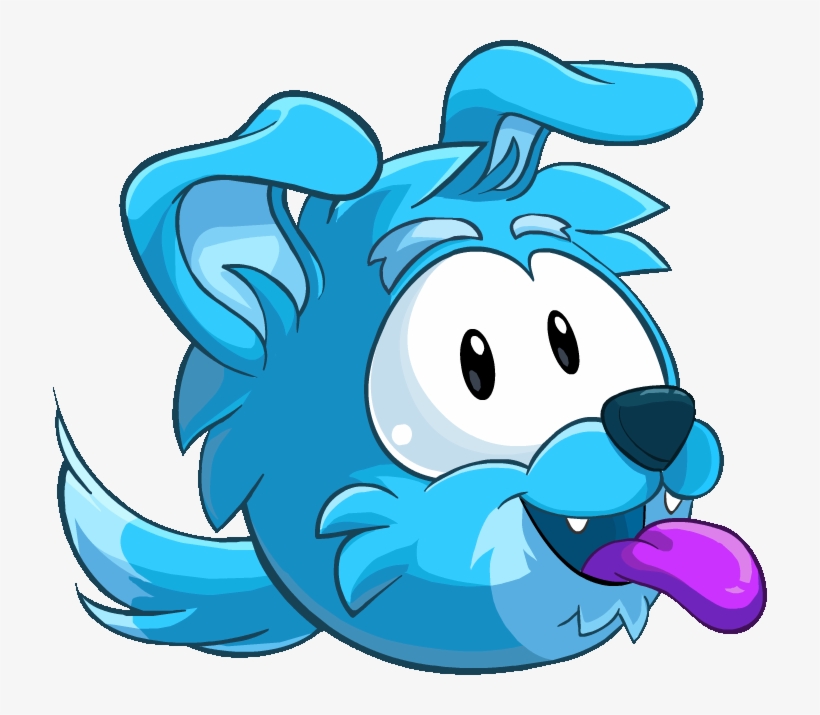 Blue Border Collie Paper - Wiki, transparent png download