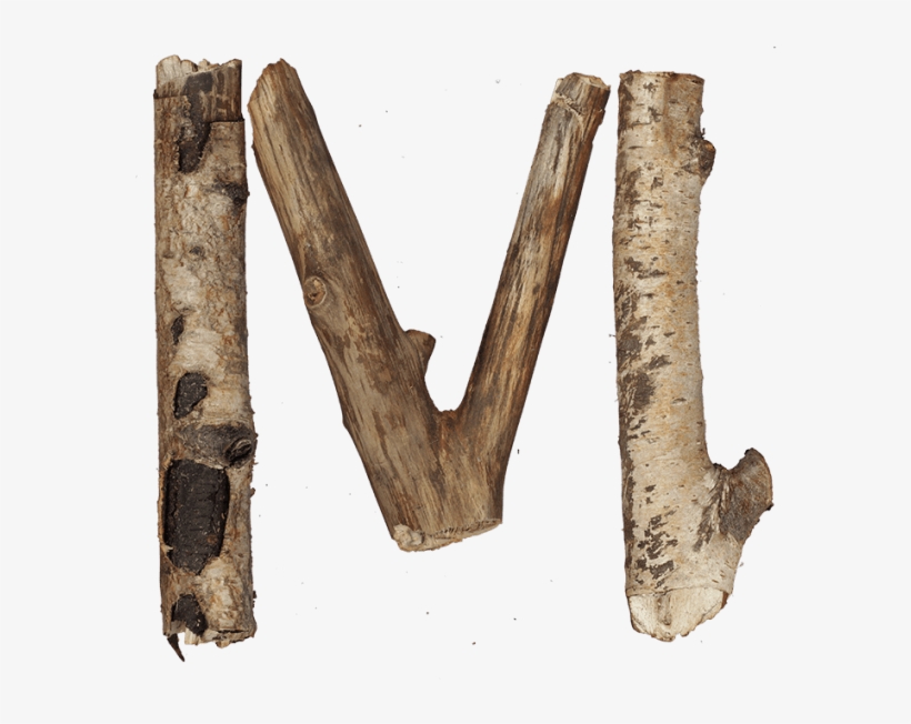 Dry Twigs Font - Letter M Made Out Of Twigs, transparent png download