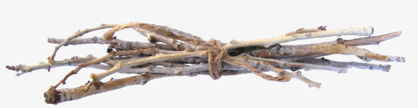 The Bundle Of Sticks An Aesop's Fable - Bundle Of Sticks Png, transparent png download