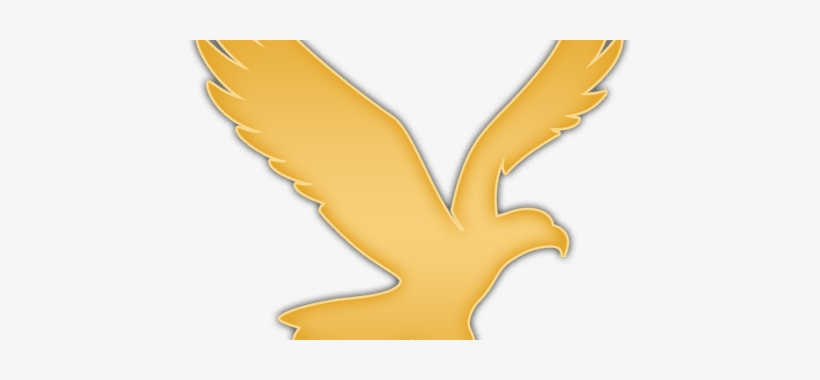 Eagle Wings Transparent Background » 4k Pictures, transparent png download