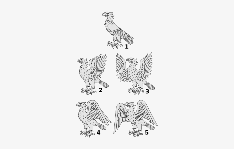 160 × 240 Pixels - Red-tailed Hawk, transparent png download