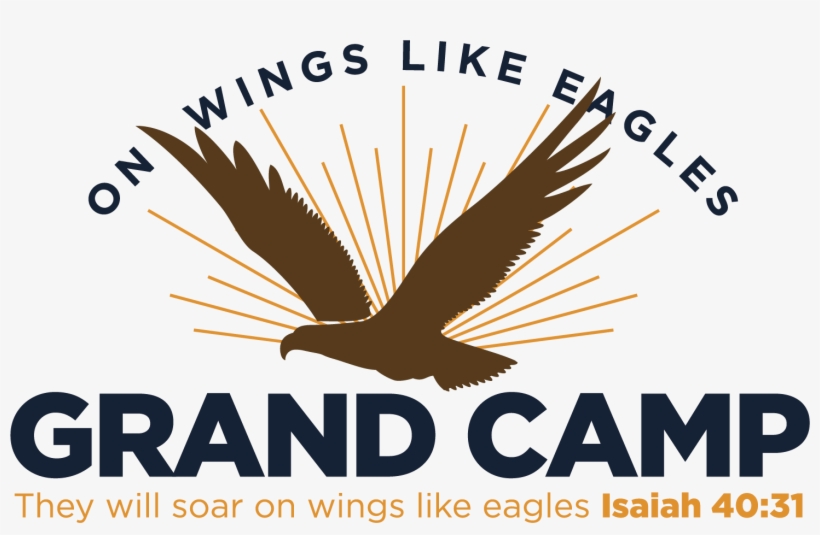 On Wings Like Eagles - Lick Granulomas On German Shepherd, transparent png download