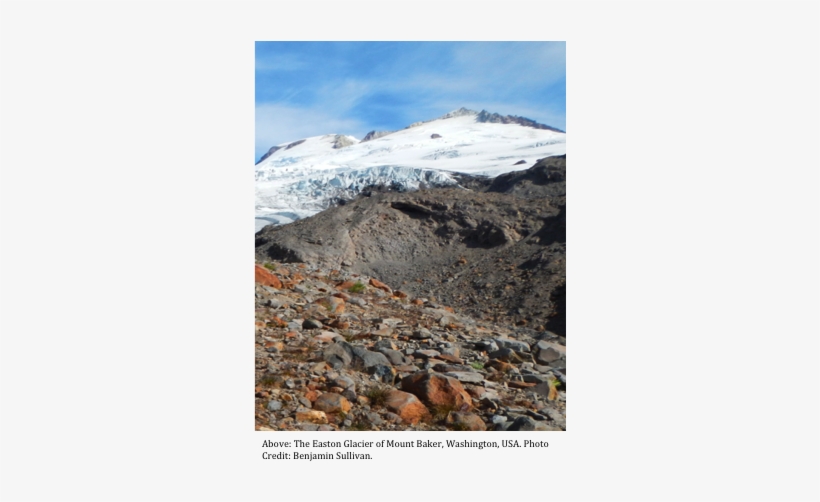 Succession Of Glacial Soils - Glacial Retreat Succession, transparent png download