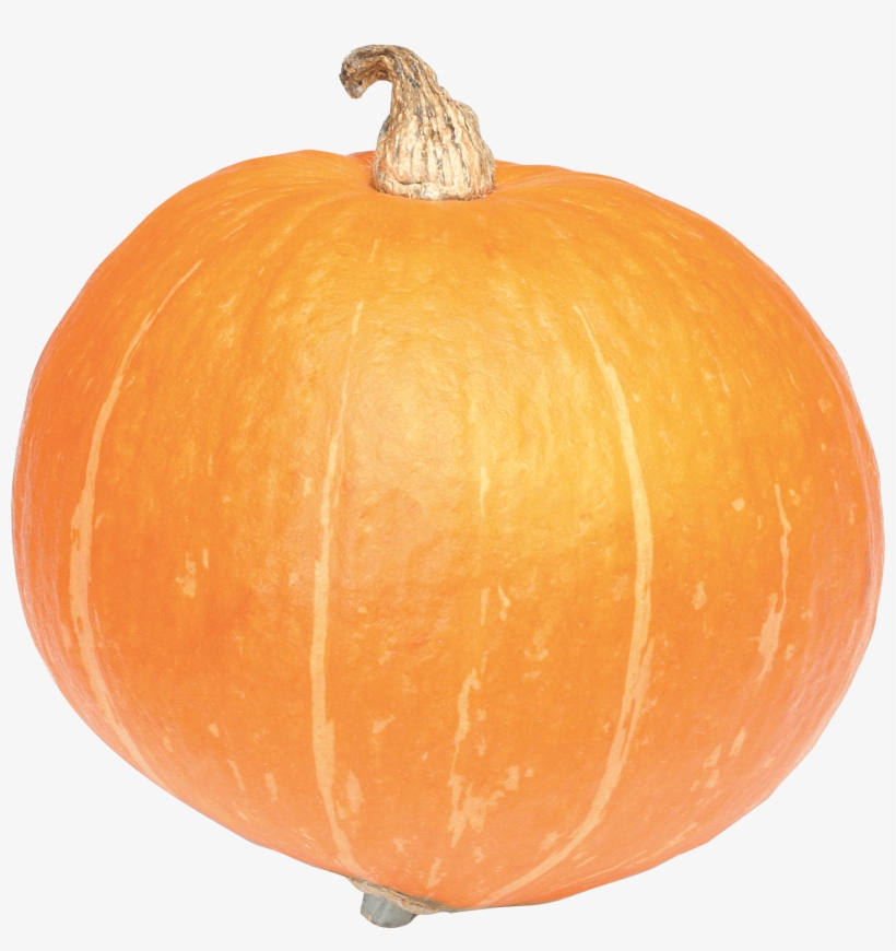 Verduras - Calabaza Png, transparent png download