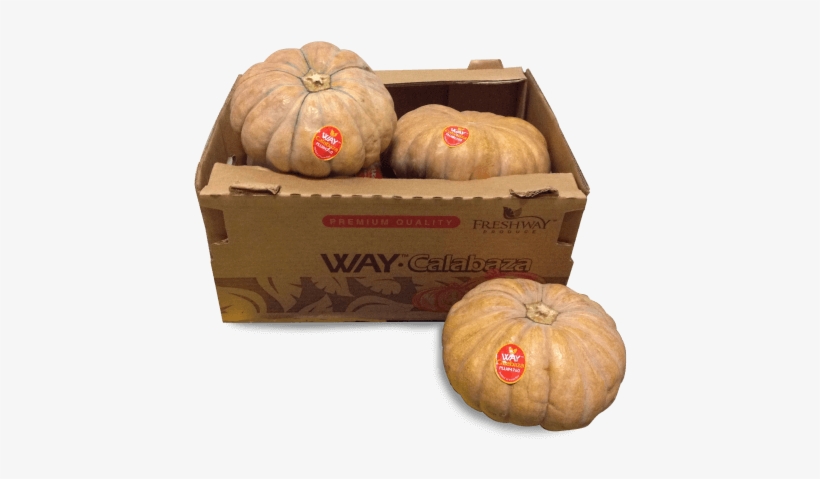 Slide - Pumpkin, transparent png download