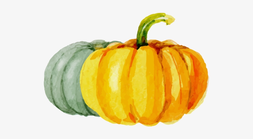 Calabaza Kabocha Pumpkin Halloween Transprent Png Free - Calabaza Dibujo, transparent png download