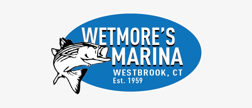 Oval - Bass - You Will Not Break Me Quotes, transparent png download