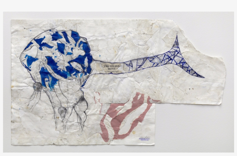 Hilarius Hofstede, Dutch Multimedia Artist, Investigates - Still Life, transparent png download