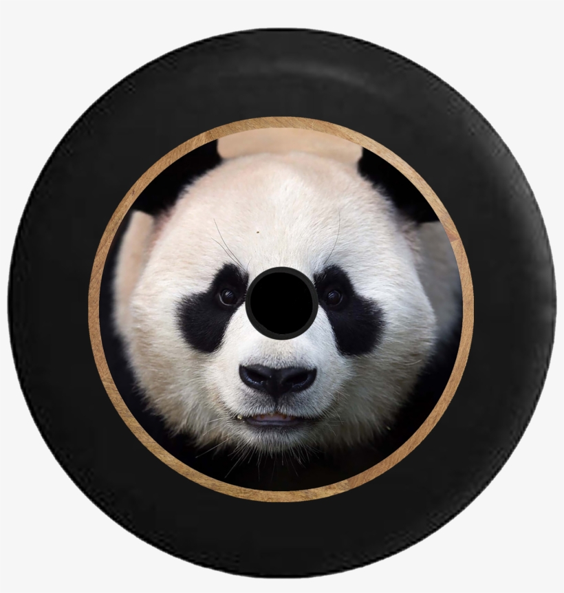 Jeep Wrangler Jl Backup Camera Cute Panda Staring Back - Front View Of A Panda, transparent png download