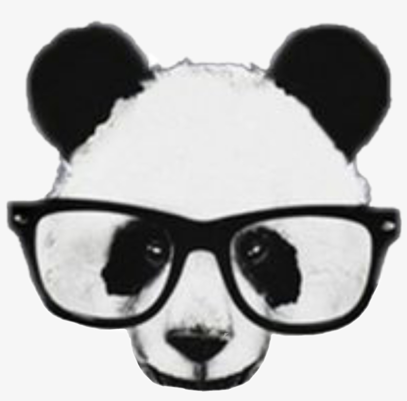 Panda Lentes Panditacool Pandabonito Negro Blanco Anima - Panda Png, transparent png download