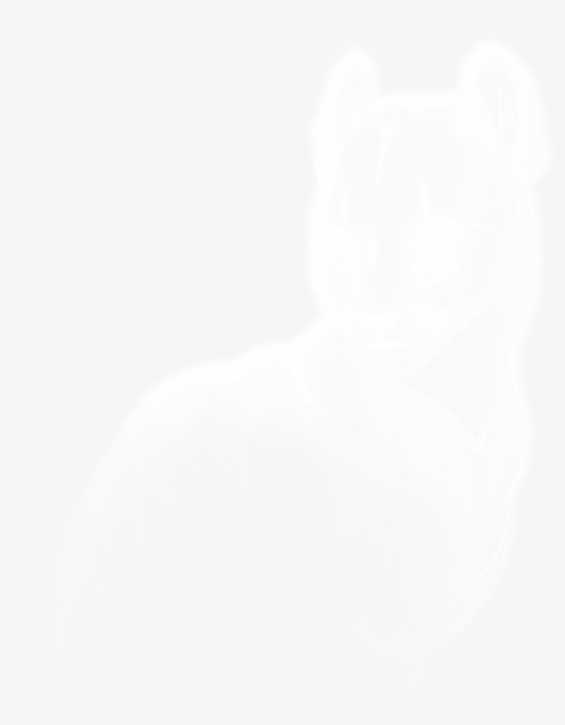 Ghost Cat Speedpaint By Tulpi On Deviantart - Cat Ghost Png, transparent png download