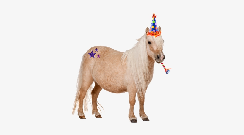 On Demand - Cute Pony, transparent png download