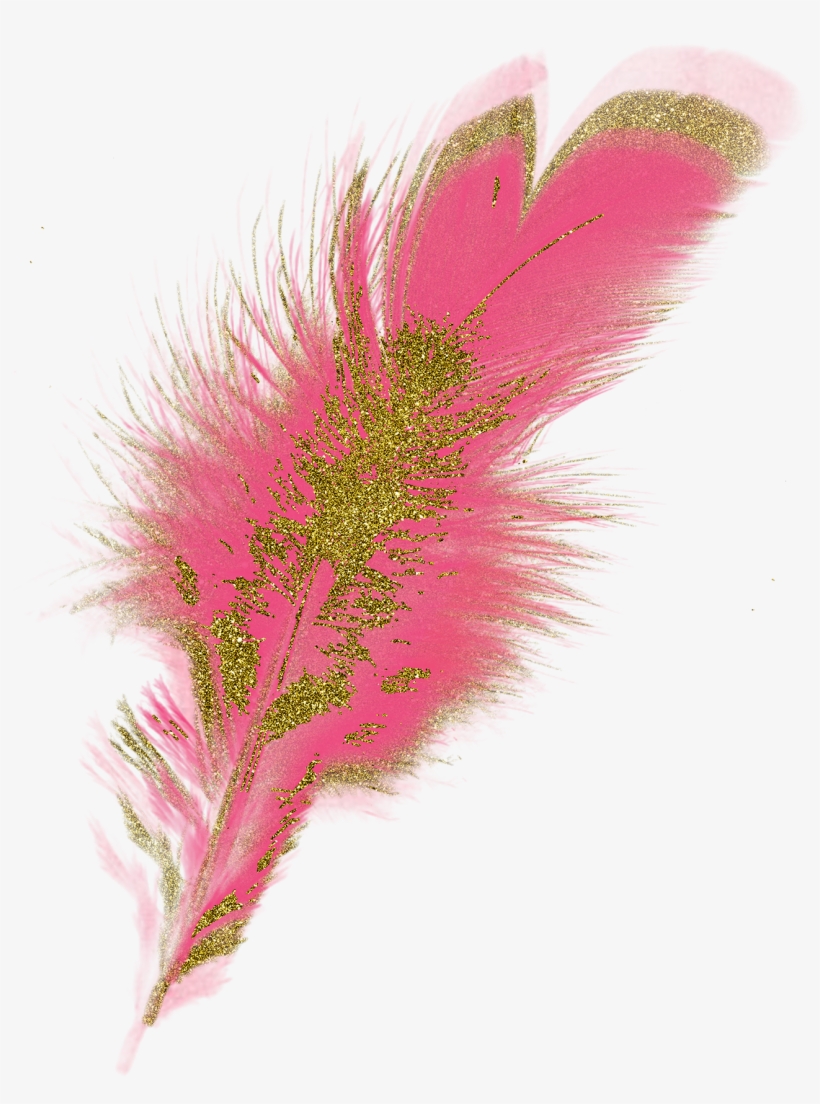 Feathers Clip Art Peacock Scrapbooking Cards Planner - Clip Art, transparent png download