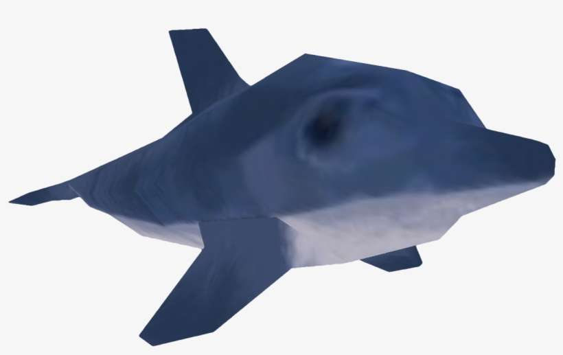 Potco Dolphin - Dolphin, transparent png download